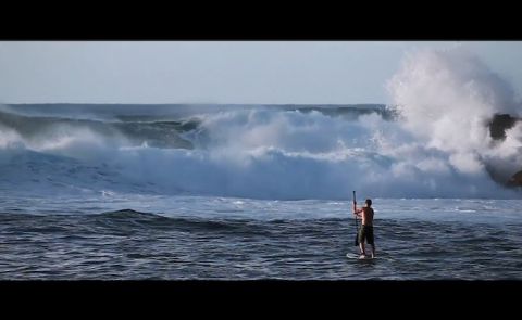 Tropical Blends - Hawaii SUP Video