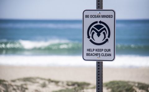 Ocean Minded Reaches Beach Cleanup Milestone