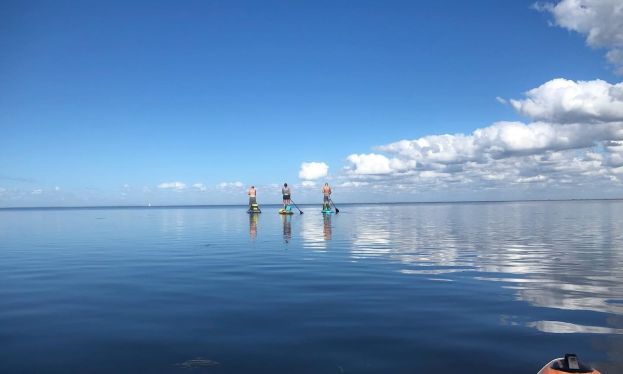 Weekly Recap 05/27/2025