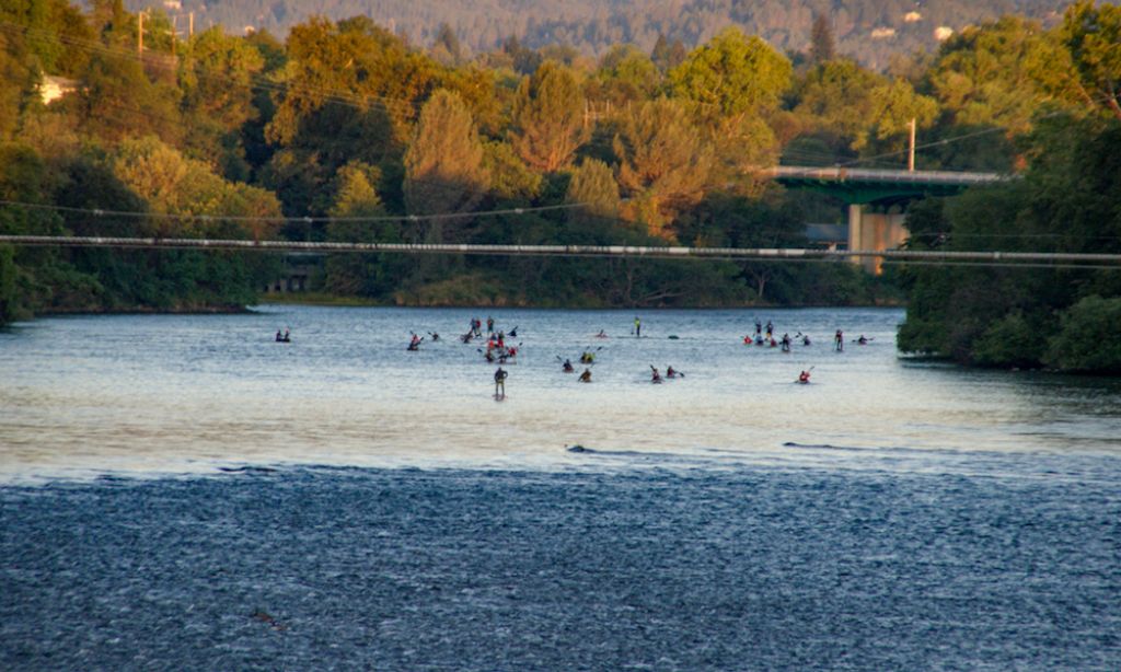 CA River Quest 2018. | Photo Courtesy: CA River Quest