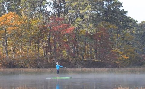 Cape Cod Adventure With Gillian Gibree