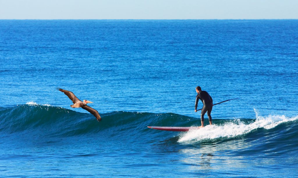 San Diego: The Ultimate SUP Destination