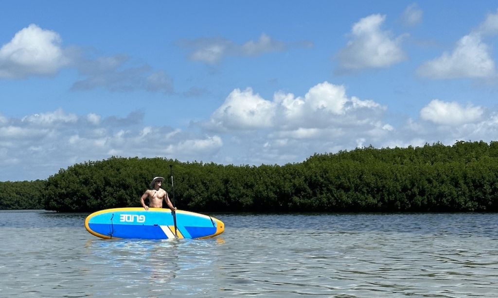 Paddleboarding West Coast Florida