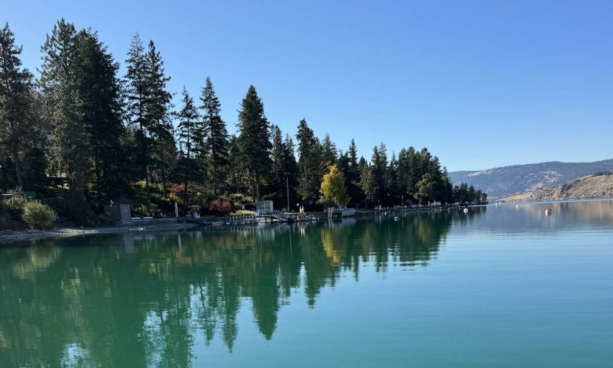 Weekly Recap 10/28/2025