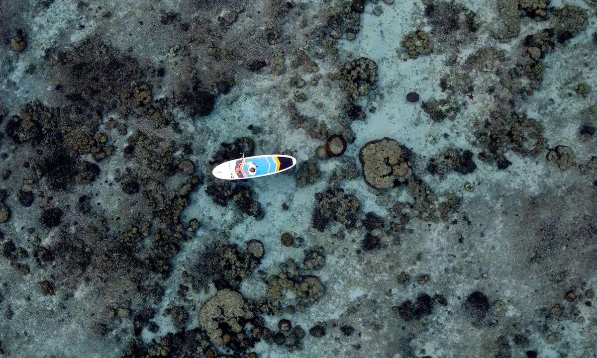 Weekly Recap 11/25/2025