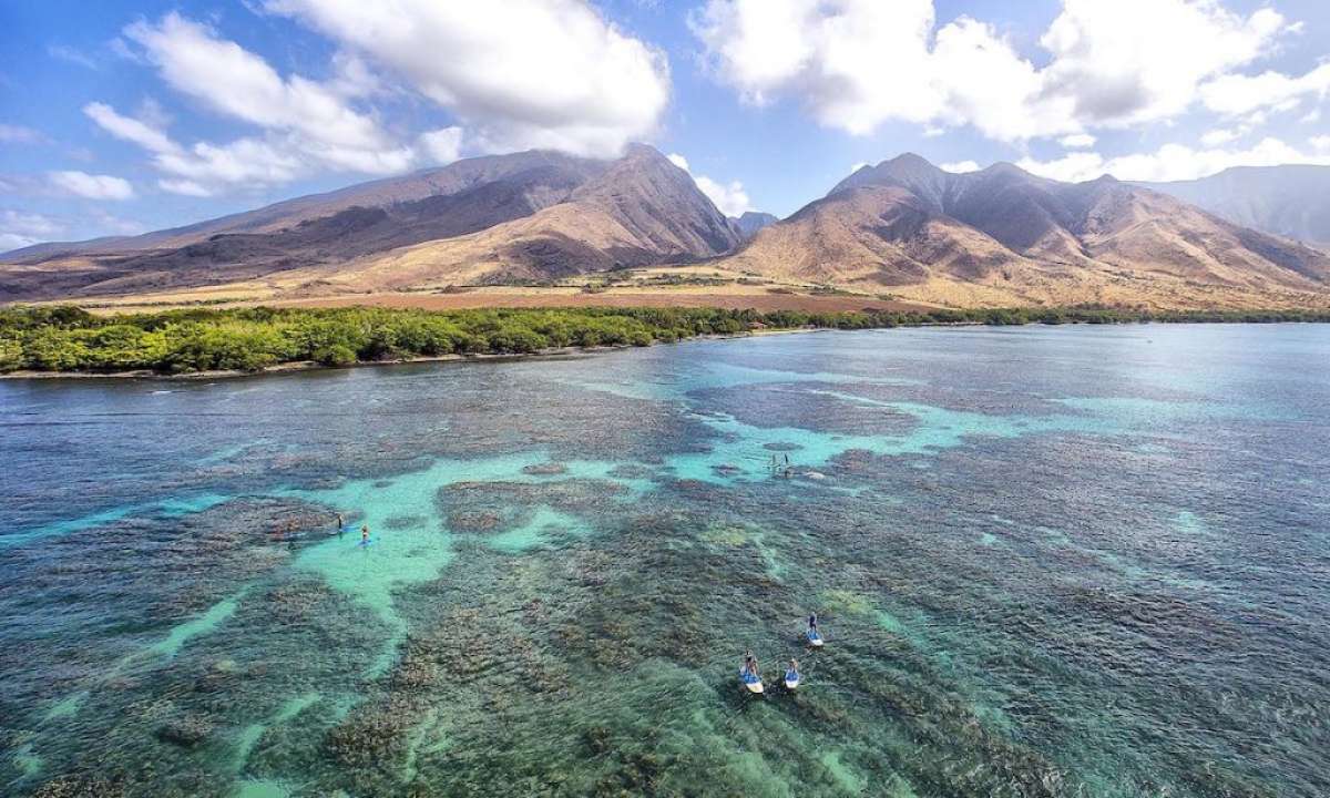 How You Can Help The Earth Through Paddle Boarding