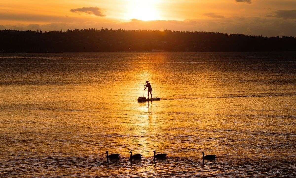 Weekly Recap 11/18/2025