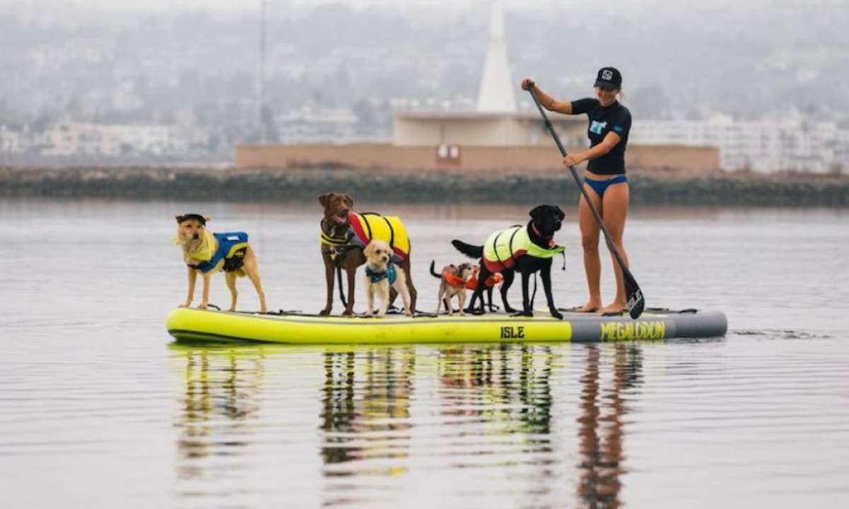 Top Mistakes Made When Paddling With Your Dog